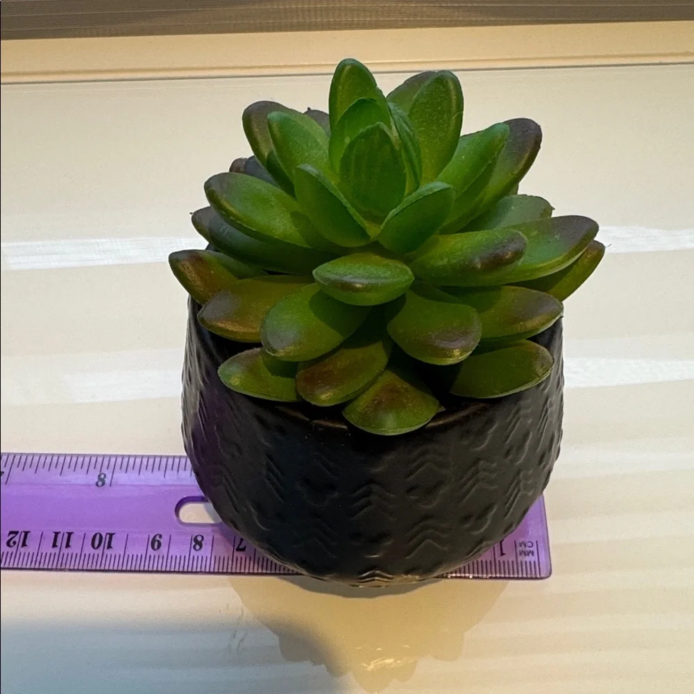DISNEY PARKS MICKEY HOMESTEAD ARTIFICIAL SUCCULENT POTTED PLANT